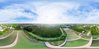 上海市_奉贤区_吴房村航拍 (9)